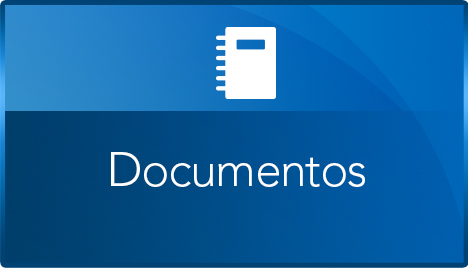 Documentos -NICSP-